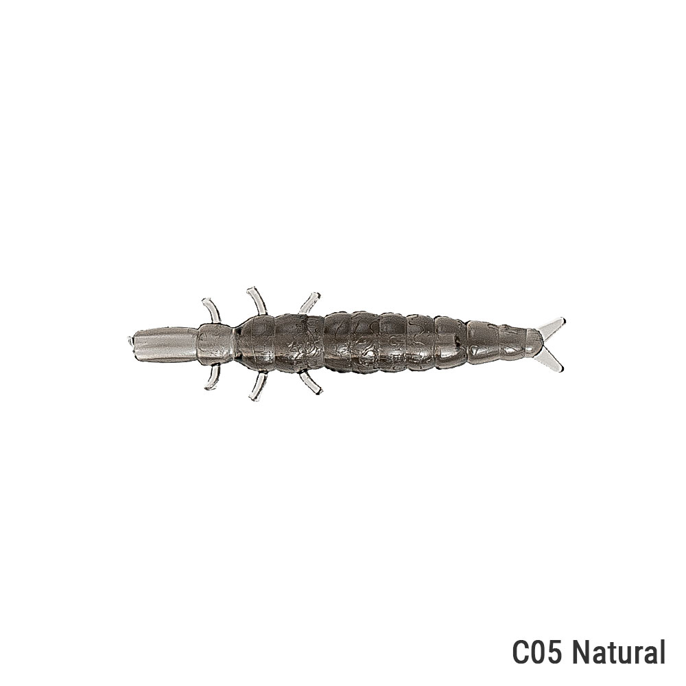 DAPPY_Caddisfly15_945