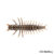 Mudbug